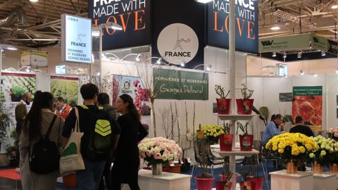 A IPM Essen, chaque fin janvier en Allemagne, les exposants bénéficient d’une bonne visibilité sous l’identité France, et d’un accompagnement complet afin d’aider à développer ses activités à l’export. ©Odile Maillard